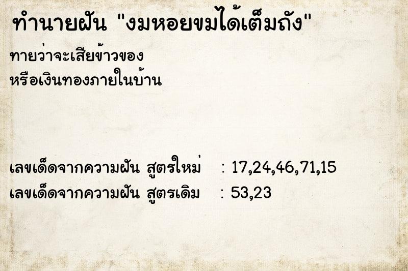 ทำนายฝันงมหอยขมได้เต็มถัง ทำนายฝันทำนายฝันงมหอยขมได้เต็มถัง