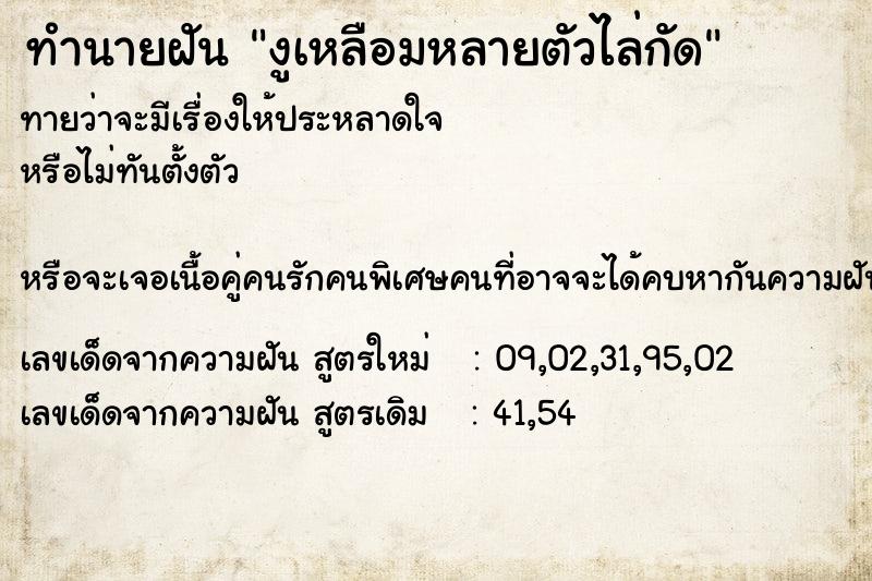 ทำนายฝันงูเหลือมหลายตัวไล่กัด ทำนายฝันทำนายฝันงูเหลือมหลายตัวไล่กัด