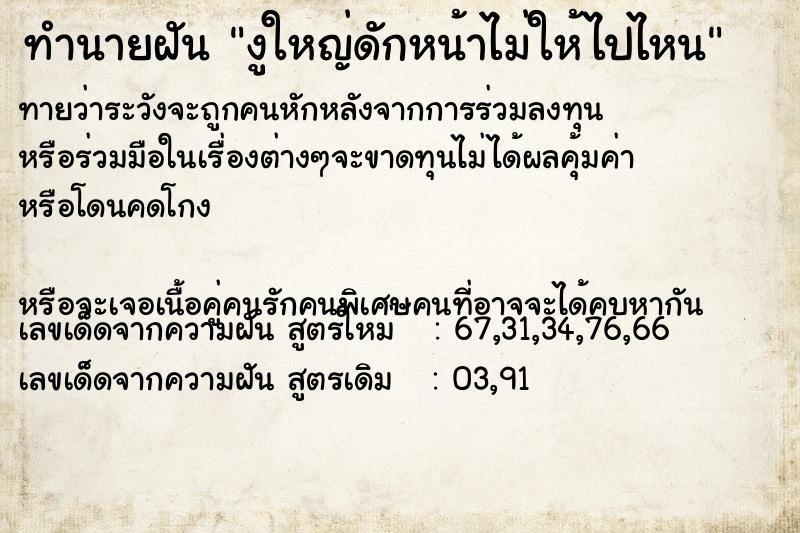 ทำนายฝันงูใหญ่ดักหน้าไม่ให้ไปไหน ทำนายฝันทำนายฝันงูใหญ่ดักหน้าไม่ให้ไปไหน
