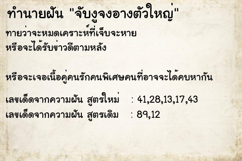 ทำนายฝันทำนายฝันจับงูจงอางตัวใหญ่