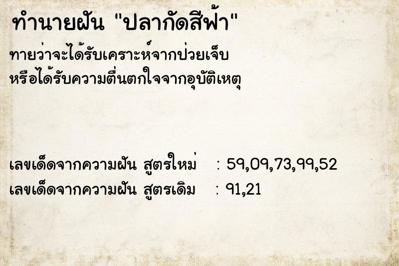 ทำนายฝันปลากัดสีฟ้า ทำนายฝันทำนายฝันปลากัดสีฟ้า