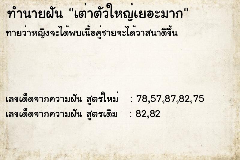 ทำนายฝันเต่าตัวใหญ่เยอะมาก ทำนายฝันทำนายฝันเต่าตัวใหญ่เยอะมาก