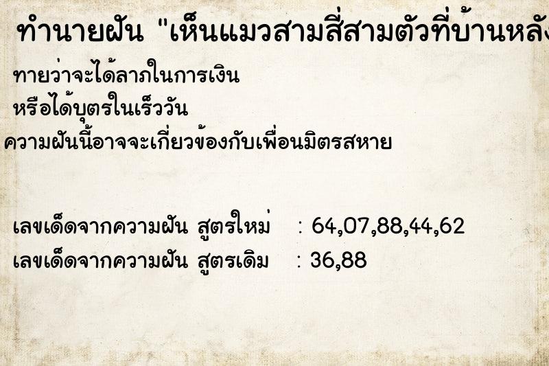 ทำนายฝันเห็นแมวสามสี่สามตัวที่บ้านหลังเก่า ทำนายฝันทำนายฝันเห็นแมวสามสี่สามตัวที่บ้านหลังเก่า