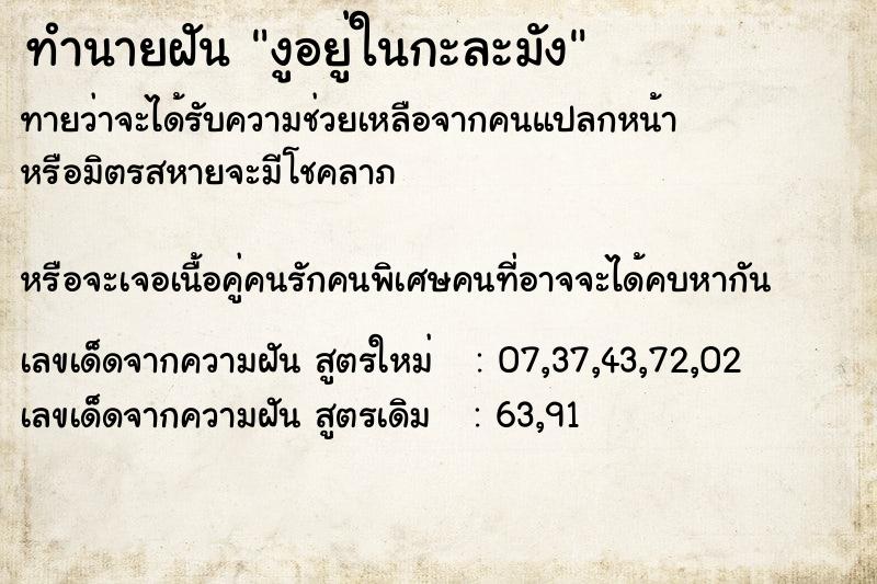 ทำนายฝันงูอยู่ในกะละมัง ทำนายฝันทำนายฝันงูอยู่ในกะละมัง