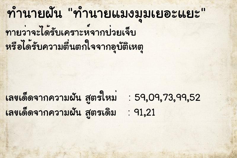 ทำนายฝันทำนายฝันทำนายแมงมุมเยอะแยะ