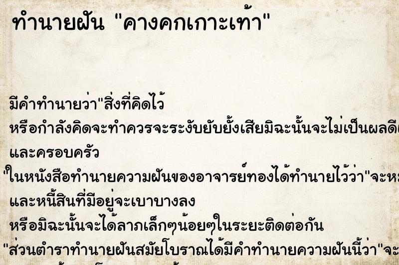 ทำนายฝัน คางคกเกาะเท้า ทำนายฝัน คางคกเกาะเท้า