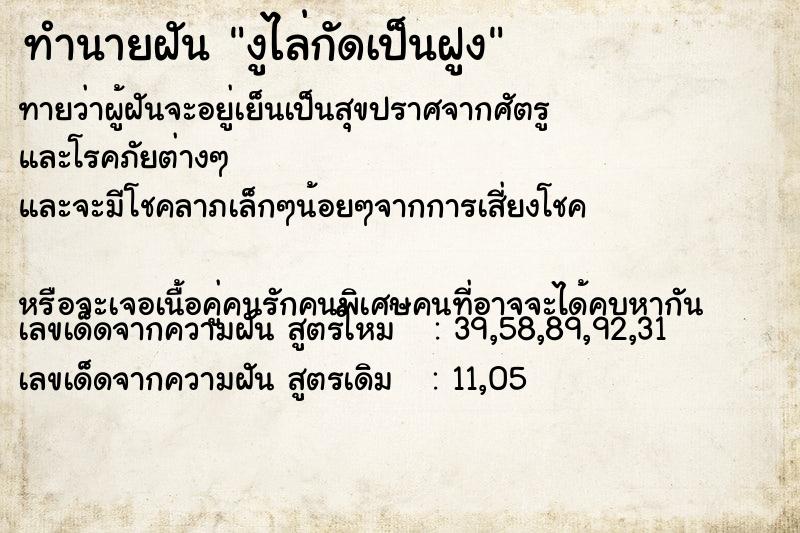 ทำนายฝัน งูไล่กัดเป็นฝูง ทำนายฝัน งูไล่กัดเป็นฝูง