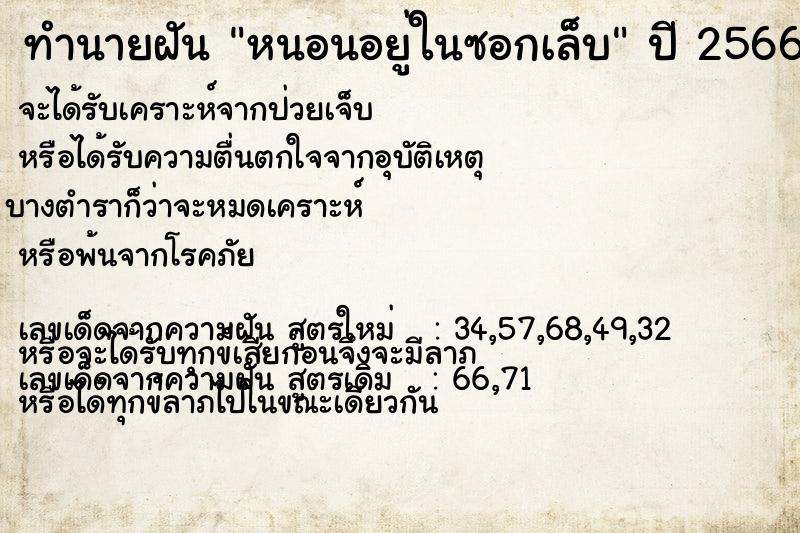 ทำนายฝันทำนายฝันหนอนอยู่ในซอกเล็บ