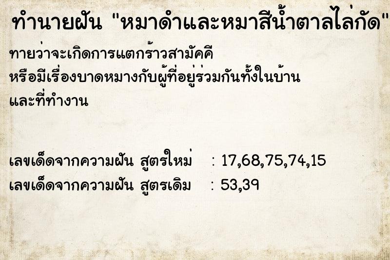 ทำนายฝันหมาดำและหมาสีน้ำตาลไล่กัด ทำนายฝันทำนายฝันหมาดำและหมาสีน้ำตาลไล่กัด