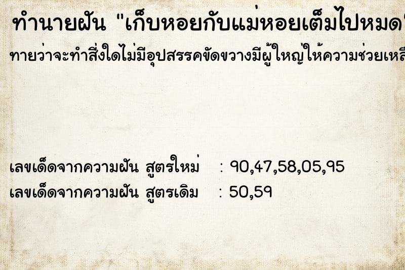 ทำนายฝันทำนายฝันเก็บหอยกับแม่หอยเต็มไปหมด