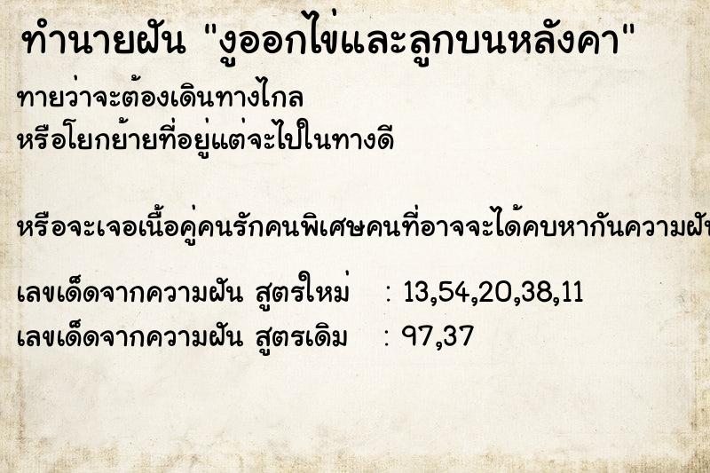 ทำนายฝันงูออกไข่และลูกบนหลังคา ทำนายฝันทำนายฝันงูออกไข่และลูกบนหลังคา