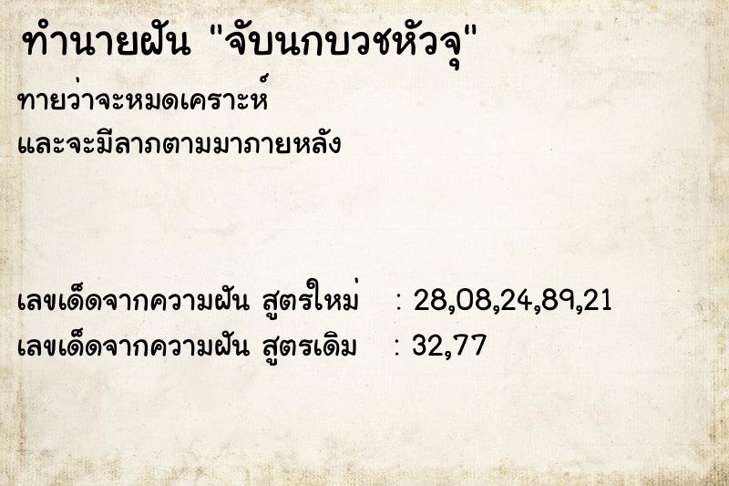 ทำนายฝันจับนกบวชหัวจุ ทำนายฝันทำนายฝันจับนกบวชหัวจุ