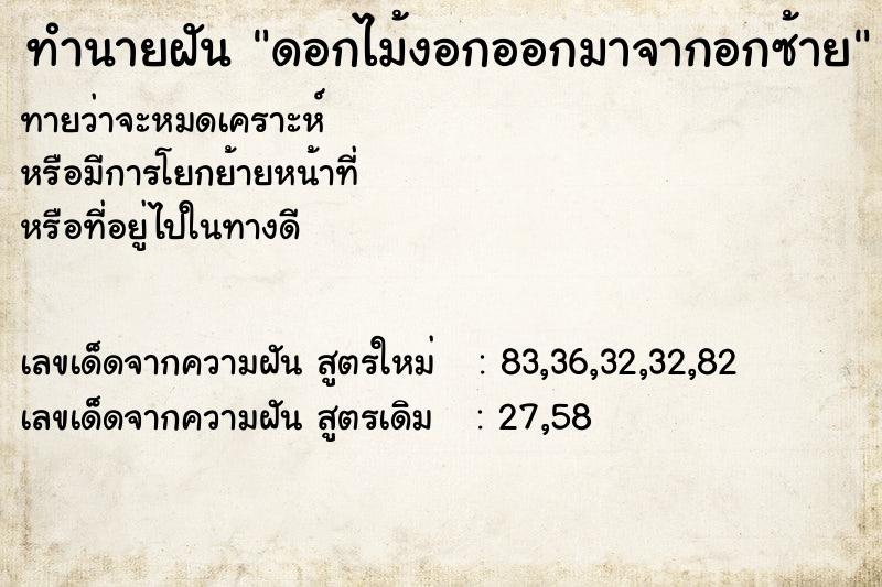 ทำนายฝันดอกไม้งอกออกมาจากอกซ้าย ทำนายฝันทำนายฝันดอกไม้งอกออกมาจากอกซ้าย