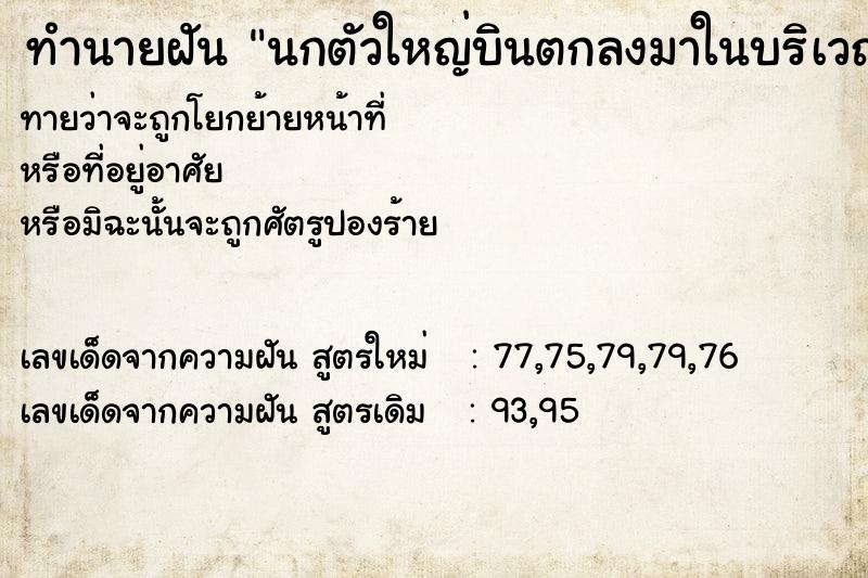 ทำนายฝันนกตัวใหญ่บินตกลงมาในบริเวณบ้าน ทำนายฝันทำนายฝันนกตัวใหญ่บินตกลงมาในบริเวณบ้าน