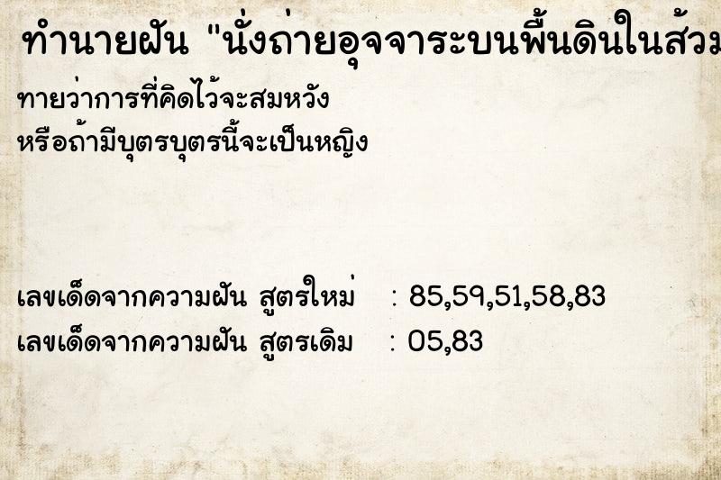 ทำนายฝันทำนายฝันนั่งถ่ายอุจจาระบนพื้นดินในส้วมที่กั้นด้วยสังกะสี