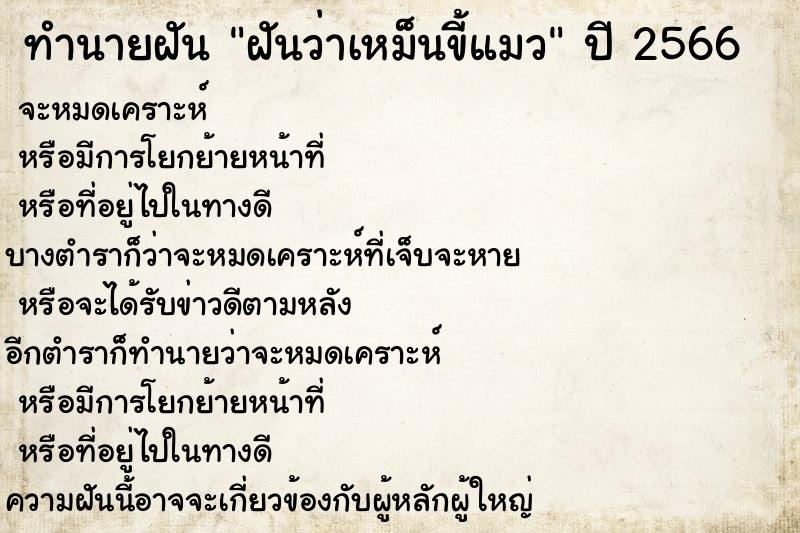 ทำนายฝันฝันว่าเหม็นขี้แมว ทำนายฝันทำนายฝันฝันว่าเหม็นขี้แมว