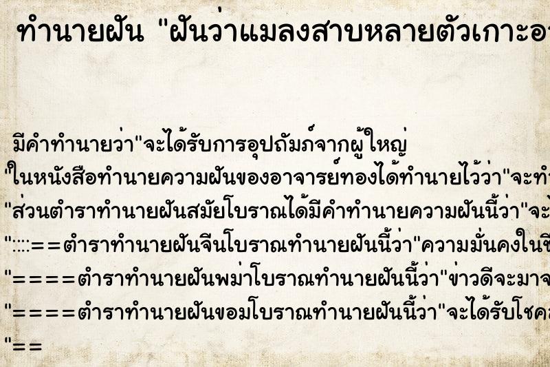ทำนายฝัน ฝันว่าแมลงสาบหลายตัวเกาะอวัยวะเพศ ทำนายฝัน ฝันว่าแมลงสาบหลายตัวเกาะอวัยวะเพศ