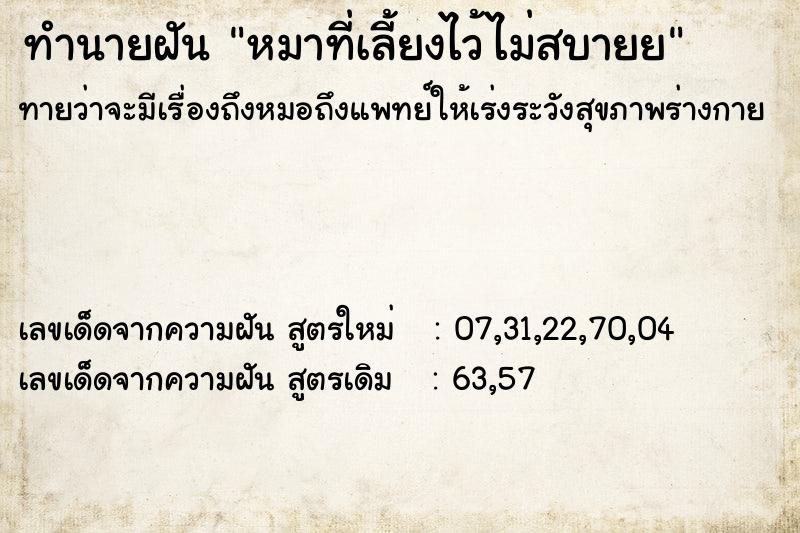 ทำนายฝันหมาที่เลี้ยงไว้ไม่สบายย ทำนายฝันทำนายฝันหมาที่เลี้ยงไว้ไม่สบายย