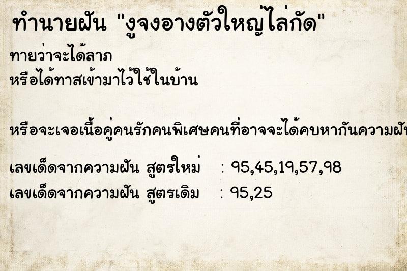 ทำนายฝัน งูจงอางตัวใหญ่ไล่กัด ทำนายฝัน งูจงอางตัวใหญ่ไล่กัด