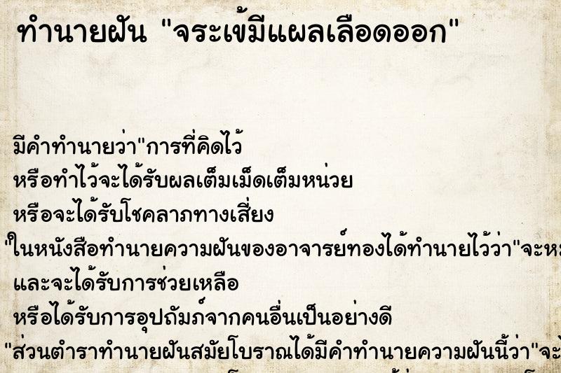 ทำนายฝันทำนายฝันจระเข้มีแผลเลือดออก
