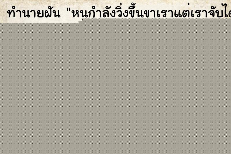 ทำนายฝันทำนายฝันหนูกำลังวิ่งขึ้นขาเราแต่เราจับได้ก่อน