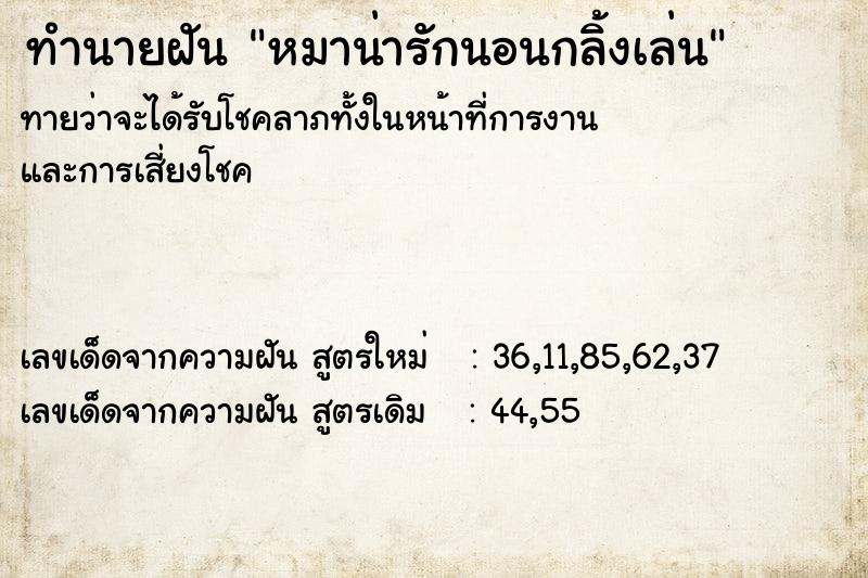 ทำนายฝันทำนายฝันหมาน่ารักนอนกลิ้งเล่น