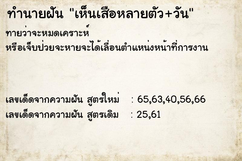 ทำนายฝันทำนายฝันเห็นเสือหลายตัว+วัน