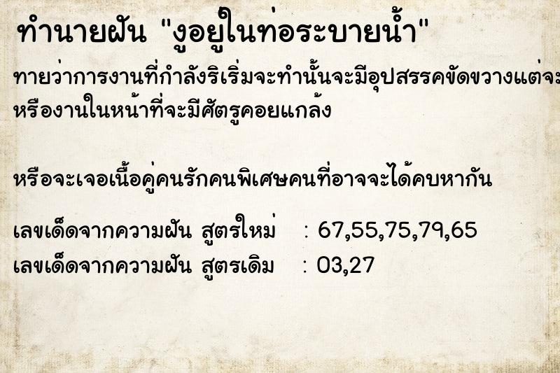ทำนายฝัน งูอยู่​ในท่อระบายน้ำ