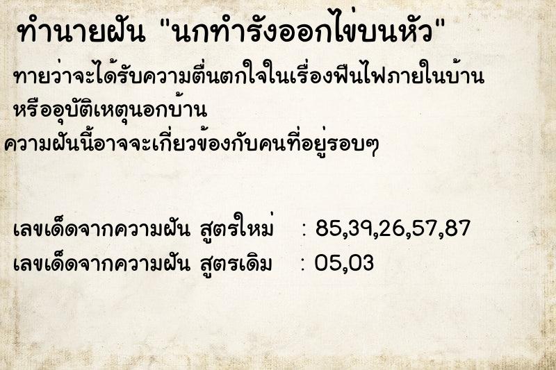 ทำนายฝันนกทำรังออกไข่บนหัว ทำนายฝันทำนายฝันนกทำรังออกไข่บนหัว