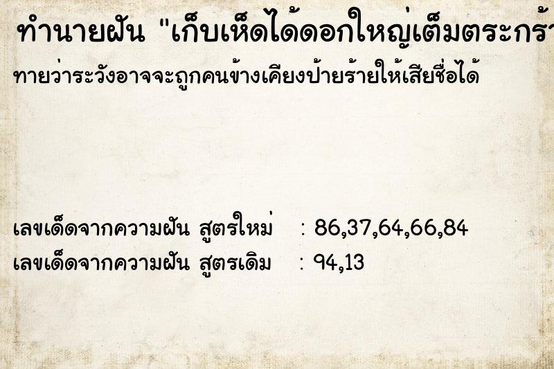 ทำนายฝันทำนายฝันเก็บเห็ดได้ดอกใหญ่เต็มตระกร้า