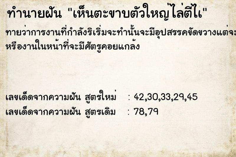 ทำนายฝันเห็นตะขาบตัวใหญ่ไล่ตีไà ทำนายฝันทำนายฝันเห็นตะขาบตัวใหญ่ไล่ตีไà