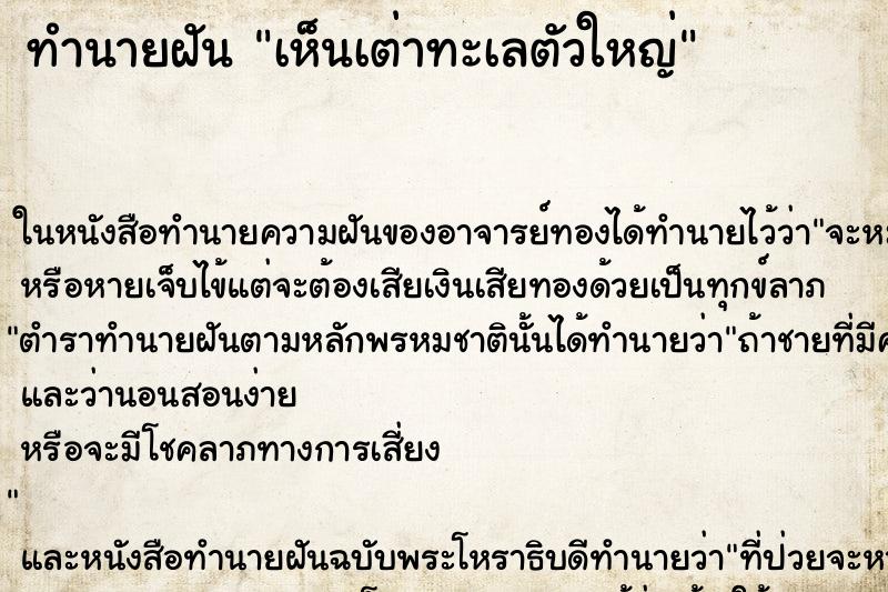 ทำนายฝัน เห็นเต่าทะเลตัวใหญ่ ตำราโบราณ แม่นที่สุดในโลก