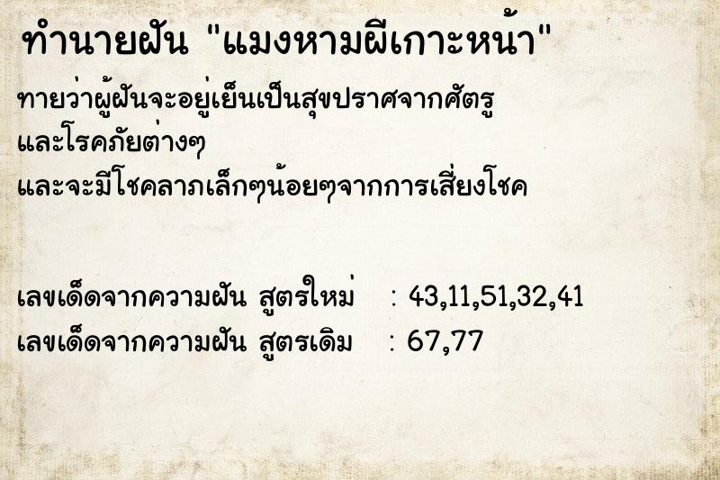 ทำนายฝัน แมงหามผีเกาะหน้า ทำนายฝัน แมงหามผีเกาะหน้า