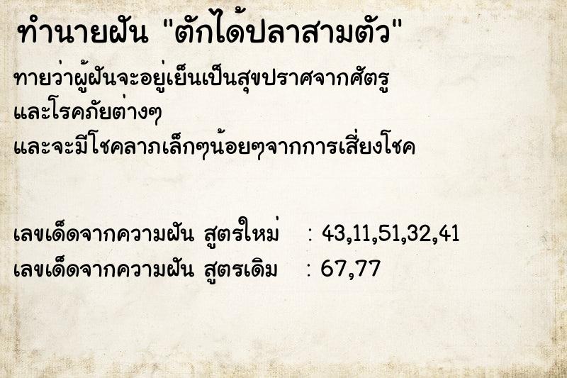 ทำนายฝันตักได้ปลาสามตัว ทำนายฝันทำนายฝันตักได้ปลาสามตัว