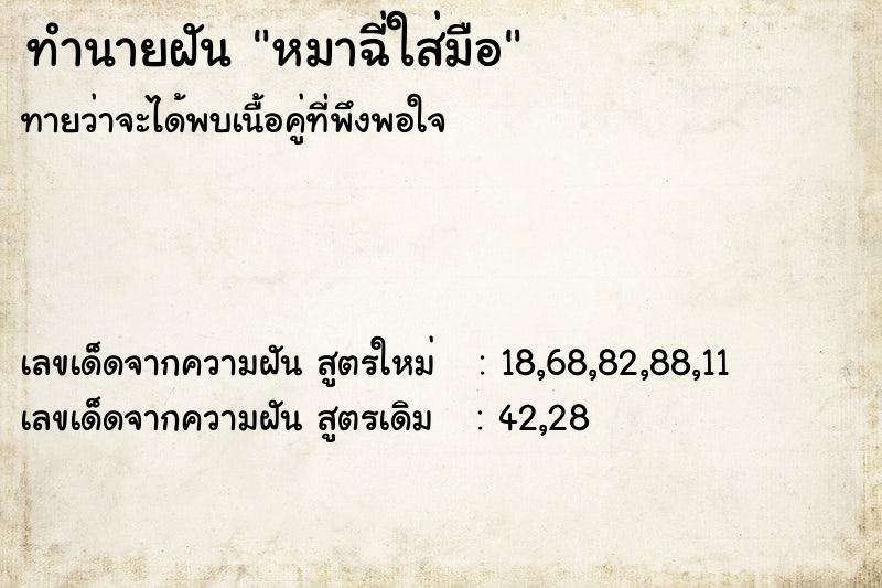 ทำนายฝัน หมาฉี่ใส่มือ ทำนายฝัน หมาฉี่ใส่มือ