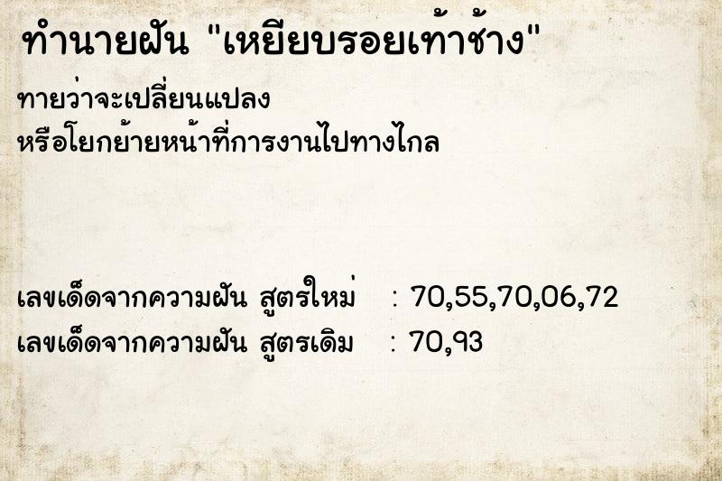 ทำนายฝันเหยียบรอยเท้าช้าง ทำนายฝันทำนายฝันเหยียบรอยเท้าช้าง