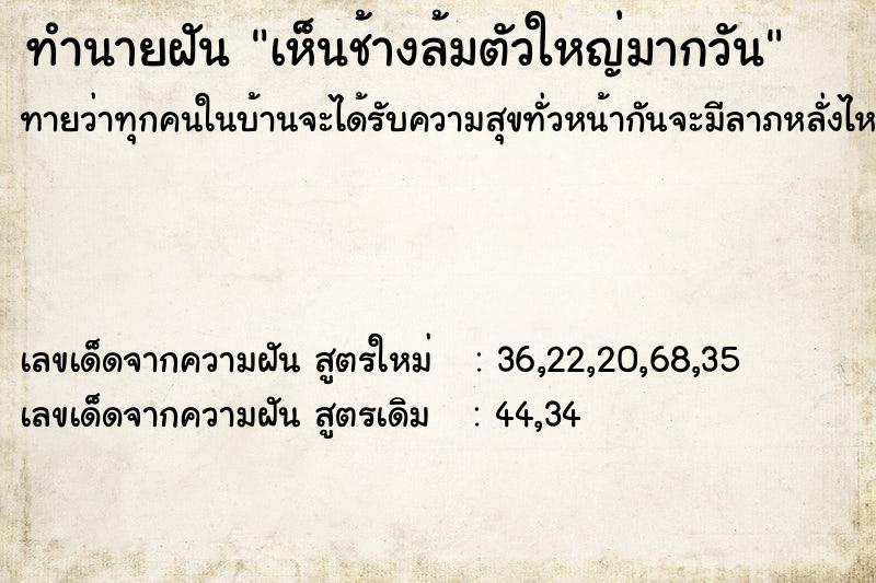 ทำนายฝันเห็นช้างล้มตัวใหญ่มากวัน ทำนายฝันทำนายฝันเห็นช้างล้มตัวใหญ่มากวัน