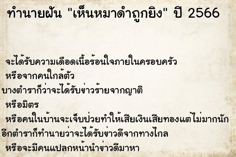 ทำนายฝันทำนายฝันเห็นหมาดำถูกยิง
