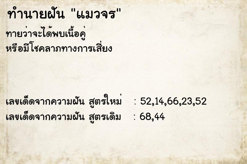 ทำนายฝัน แมวจร ทำนายฝัน แมวจร
