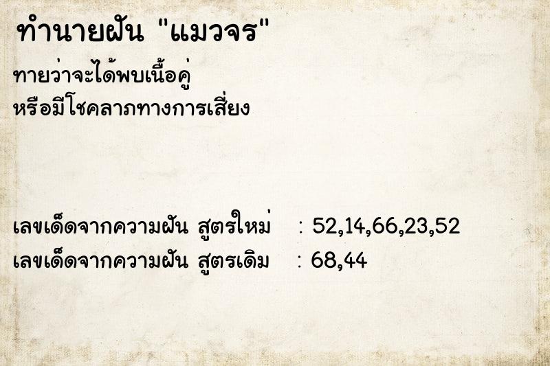 ทำนายฝัน แมวจร ตำราโบราณ แม่นที่สุดในโลก