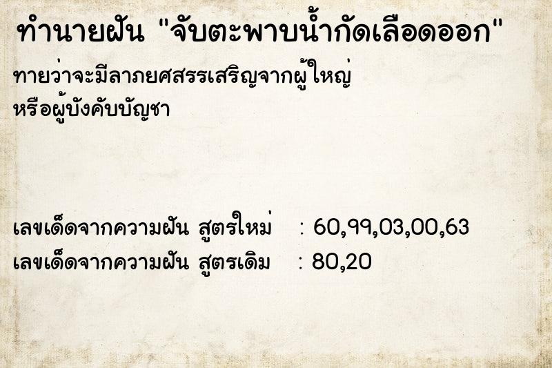 ทำนายฝันทำนายฝันจับตะพาบน้ำกัดเลือดออก