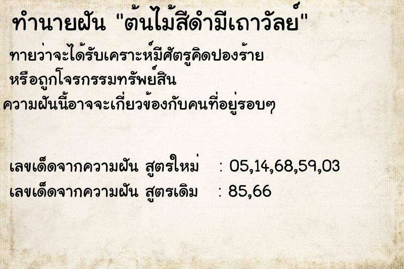 ทำนายฝันต้นไม้สีดำมีเถาวัลย์ ทำนายฝันทำนายฝันต้นไม้สีดำมีเถาวัลย์