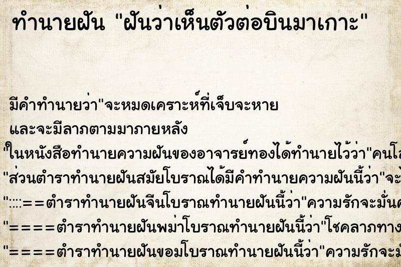 ทำนายฝัน ฝันว่าเห็นตัวต่อบินมาเกาะ ทำนายฝัน ฝันว่าเห็นตัวต่อบินมาเกาะ