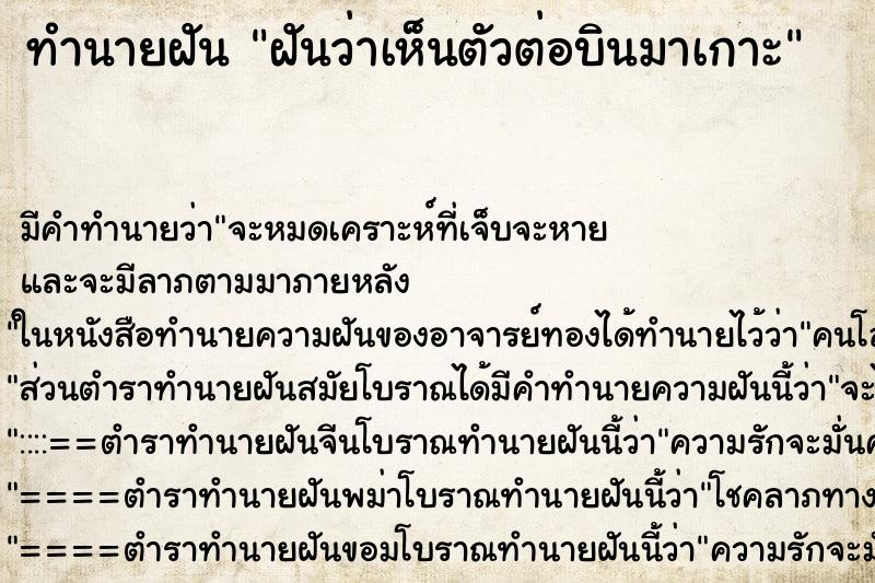 ทำนายฝัน ฝันว่าเห็นตัวต่อบินมาเกาะ ตำราโบราณ แม่นที่สุดในโลก