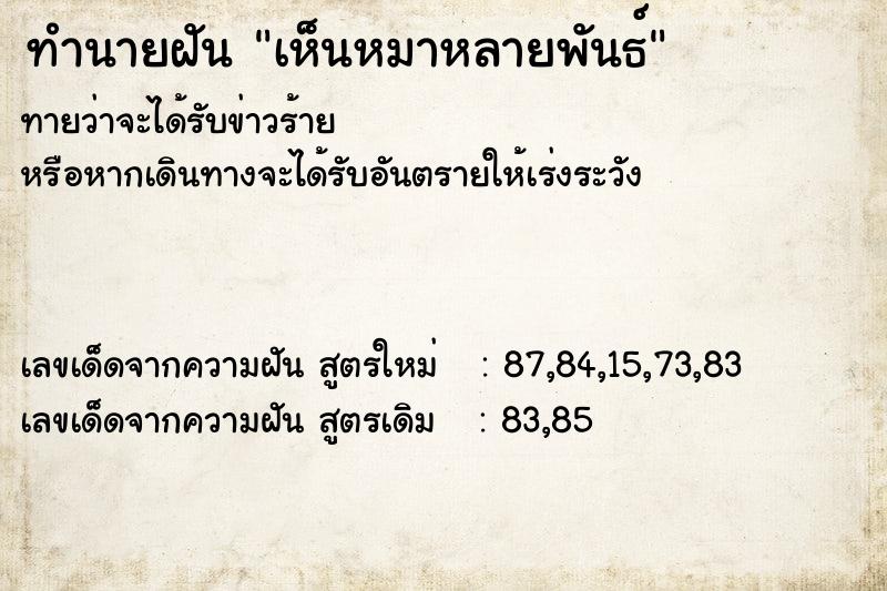 ทำนายฝันทำนายฝันเห็นหมาหลายพันธ์
