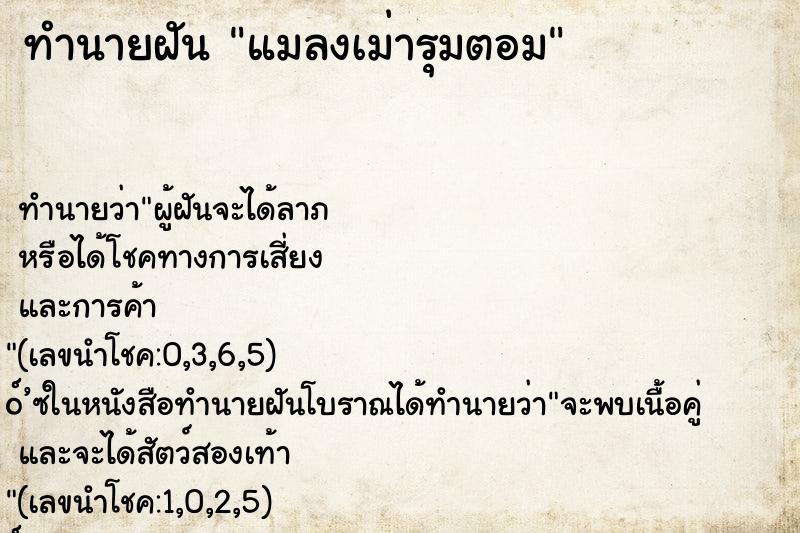 ทำนายฝันแมลงเม่ารุมตอม ทำนายฝันทำนายฝันแมลงเม่ารุมตอม
