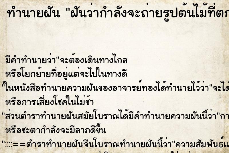 ทำนายฝันฝันว่ากำลังจะถ่ายรูปต้นไม้ที่ตกแต่งเป็นรูปช้าง ทำนายฝันทำนายฝันฝันว่ากำลังจะถ่ายรูปต้นไม้ที่ตกแต่งเป็นรูปช้าง