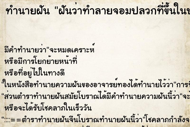 ทำนายฝันฝันว่าทำลายจอมปลวกที่ขึ้นในบ้าน ทำนายฝันทำนายฝันฝันว่าทำลายจอมปลวกที่ขึ้นในบ้าน