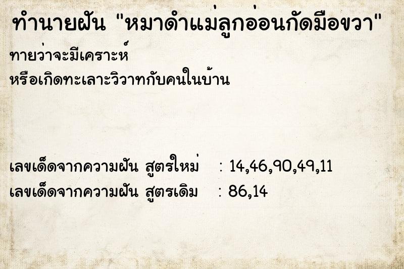 ทำนายฝันหมาดำแม่ลูกอ่อนกัดมือขวา ทำนายฝันทำนายฝันหมาดำแม่ลูกอ่อนกัดมือขวา