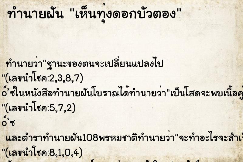 ทำนายฝันเห็นทุ่งดอกบัวตอง ทำนายฝันทำนายฝันเห็นทุ่งดอกบัวตอง